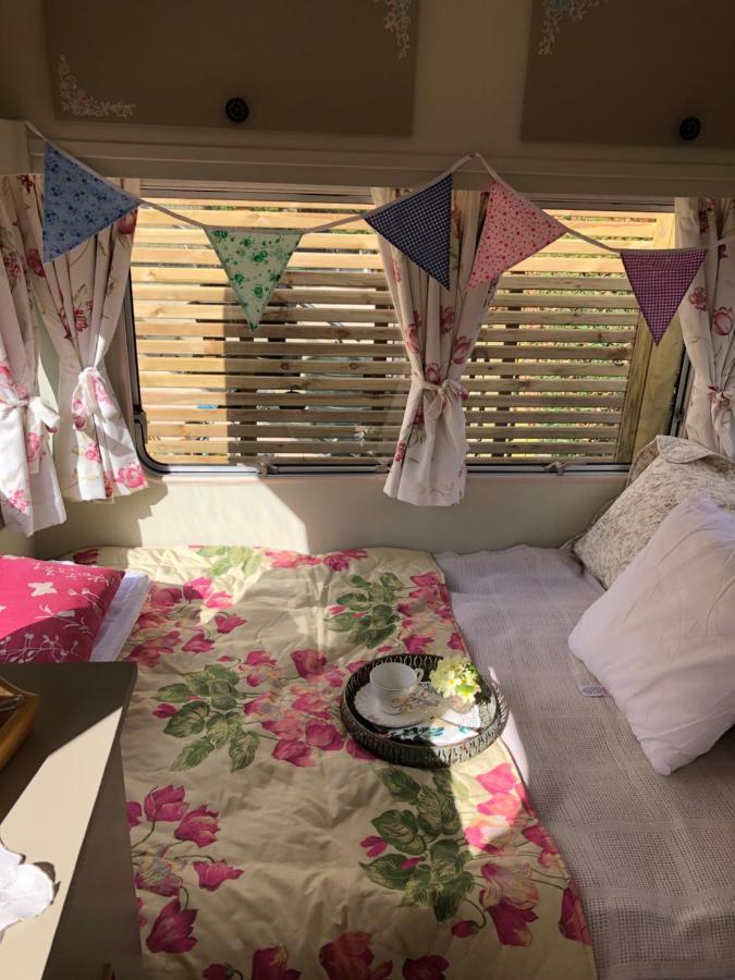ניוטון אבוט Down The Garden Path Vintage Caravan B&B , Dartmoor מראה חיצוני תמונה