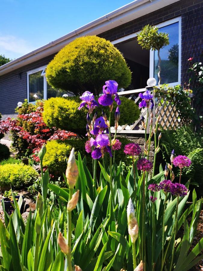 ניוטון אבוט Down The Garden Path Vintage Caravan B&B , Dartmoor מראה חיצוני תמונה