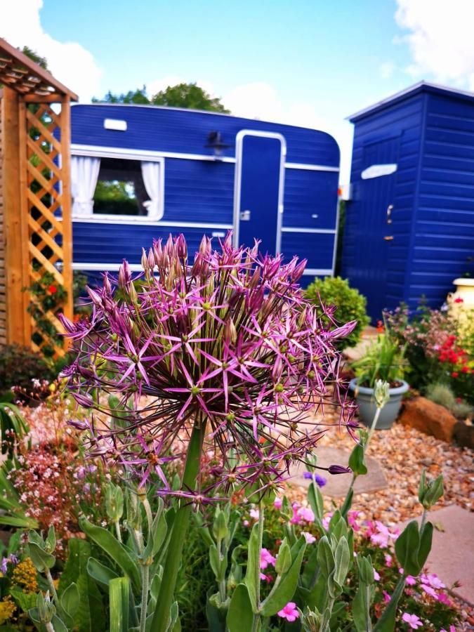 ניוטון אבוט Down The Garden Path Vintage Caravan B&B , Dartmoor מראה חיצוני תמונה