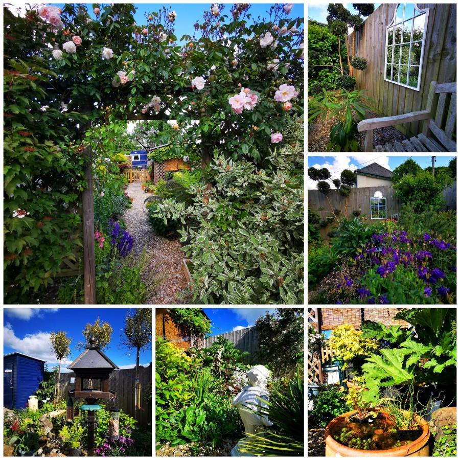ניוטון אבוט Down The Garden Path Vintage Caravan B&B , Dartmoor מראה חיצוני תמונה